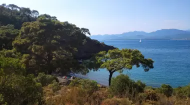 Gazi Koyu