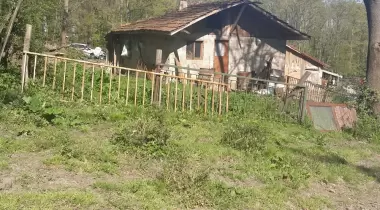 Madara Deresi Kamp