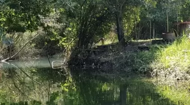 Jungle Camping Dalyan