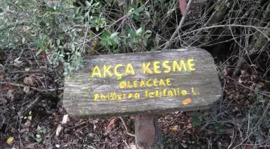 Kovada Günübirlik Kamping
