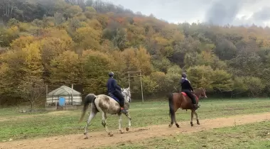 Troltunga Camping - Gebze