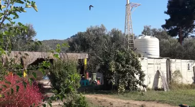 Özgür Plaj Kamp