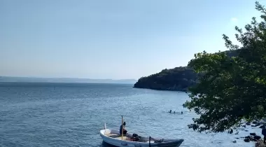 Zeytin Dalı Piknik Alanı Camping