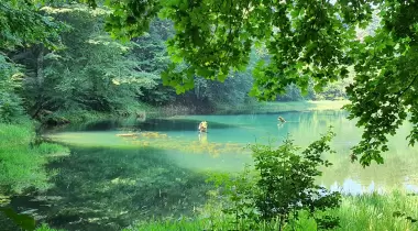 Sülüklü Göl Tabiat Parkı