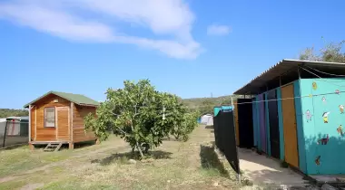 KAMP AT