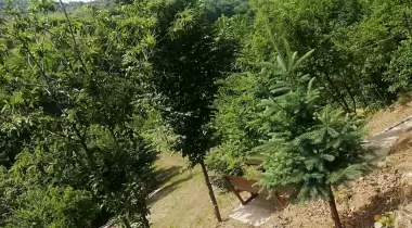 Kasaba Kamp