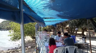 Zeytin Dalı Piknik Alanı Camping