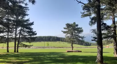 Kocayayla Orman İçi Dinlenme Tesisleri