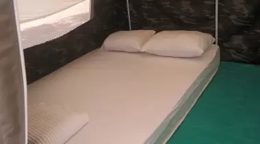 Kamp Olive