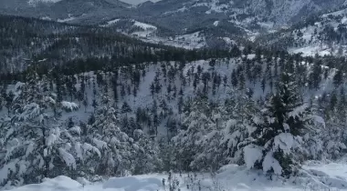 Toraman Kamp Çadır Alanı