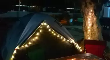 Kamp Olive