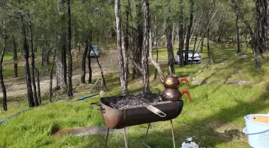 Dikilitaş Tabiat Parkı