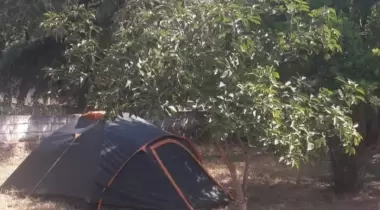 KaraKedi Kamp