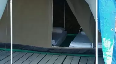 Kamp Olive