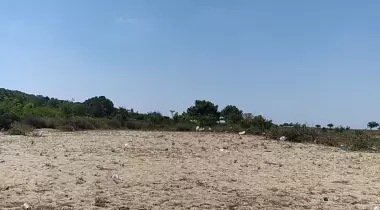 Enez kamp