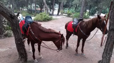 Çiçekli Tabiat Parkı