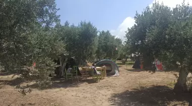 Avşa Camping