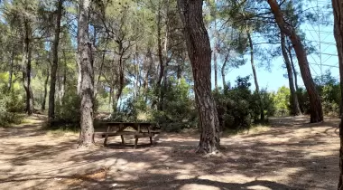 Çiçekli Tabiat Parkı