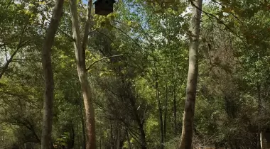 Kabaklık Camping