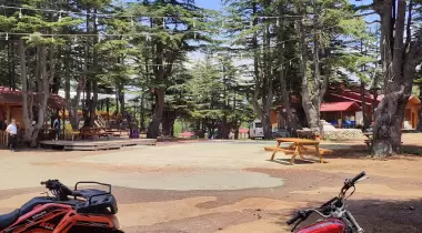 Cedrus Life Kamp ve Karavan Alanı