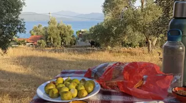 Akyaka Cengizin Yeri Camping