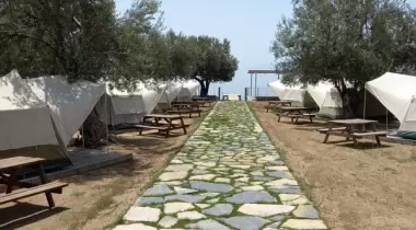 Kamp Olive