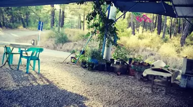 Akyaka Cengizin Yeri Camping
