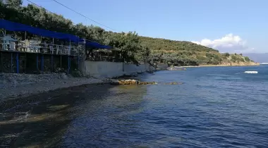 Zeytin Dalı Piknik Alanı Camping