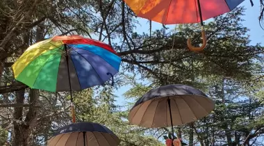 Cedrus Life Kamp ve Karavan Alanı
