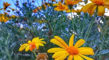 Yeşilvadi Doğa Park ve Kamp Alanı