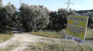 Zeytin Dalı Piknik Alanı Camping