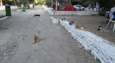 Önder Camping