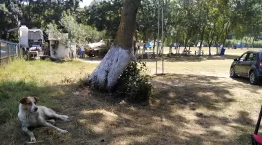 ilyas baba kamp alanı