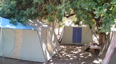Tuğrul Cafe & Kamp Alanı