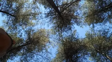 Çiçekli Tabiat Parkı