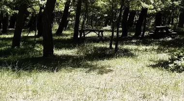 İda & Ala Kamp Alanı