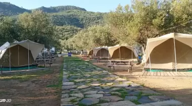 Kamp Olive