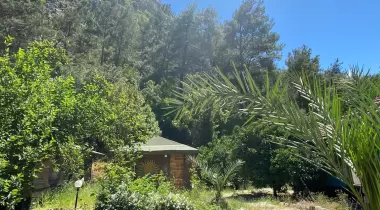 Maya Olympos