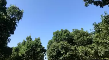 ENEZ BELEDİYE KAMP ALANI