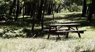 İda & Ala Kamp Alanı