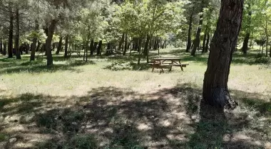 İda & Ala Kamp Alanı