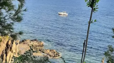 Dikilitaş Tabiat Parkı