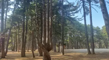 Kocayayla Bungalov Evleri