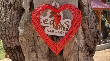 Cedrus Life Kamp ve Karavan Alanı