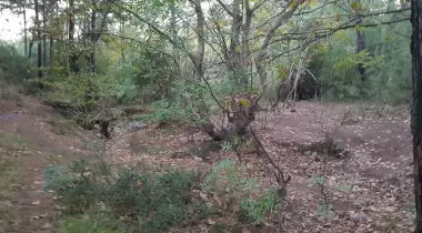 Çiçekli Tabiat Parkı