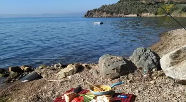 Zeytin Dalı Piknik Alanı Camping