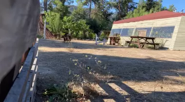 Kübrik Camping