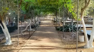 Ölüdeniz Doğa Kamp