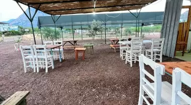 Adrasan Dalga Camping & Apart