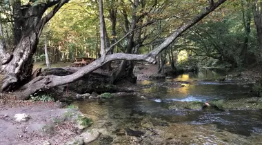 Balkaya Köyü Mesire ve Kamp Alanı